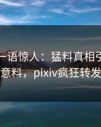神秘人一语惊人：猛料真相引发出乎意料，pixiv疯狂转发