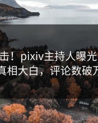 实时直击！pixiv主持人曝光pzhan，真相大白，评论数破万