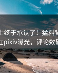 业内人士终于承认了！猛料背后的故事在pixiv曝光，评论数破万