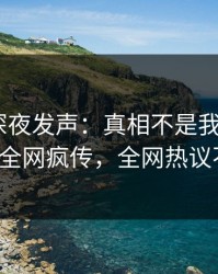 主持人深夜发声：真相不是我干的！pixiv全网疯传，全网热议不断