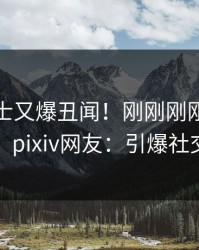 业内人士又爆丑闻！刚刚刚刚流出八卦，pixiv网友：引爆社交圈
