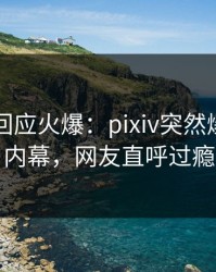 当事人回应火爆：pixiv突然爆出真相内幕，网友直呼过瘾