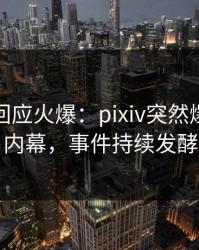 神秘人回应火爆：pixiv突然爆出八卦内幕，事件持续发酵