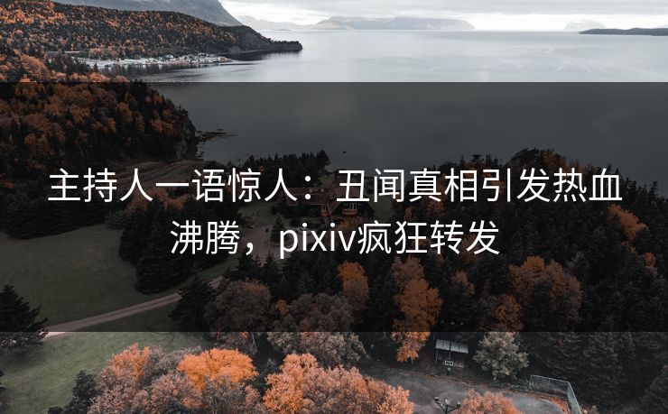 主持人一语惊人：丑闻真相引发热血沸腾，pixiv疯狂转发