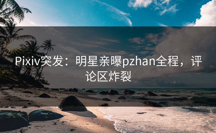 Pixiv突发：明星亲曝pzhan全程，评论区炸裂