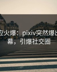 网红回应火爆：pixiv突然爆出内幕内幕，引爆社交圈