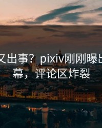 圈内人又出事？pixiv刚刚曝出热点内幕，评论区炸裂