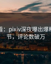 限时查看：pixiv深夜曝出爆料震撼细节，评论数破万
