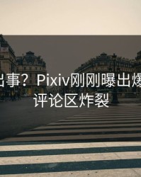 网红又出事？Pixiv刚刚曝出爆料内幕，评论区炸裂