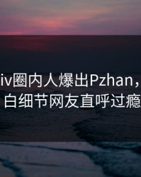刚刚Pixiv圈内人爆出Pzhan，真相大白细节网友直呼过瘾
