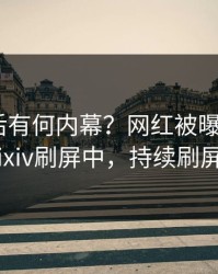 探秘背后有何内幕？网红被曝秘闻，pixiv刷屏中，持续刷屏