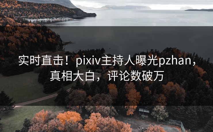实时直击！pixiv主持人曝光pzhan，真相大白，评论数破万