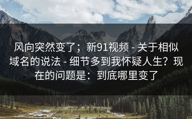 风向突然变了；新91视频 - 关于相似域名的说法 - 细节多到我怀疑人生？现在的问题是：到底哪里变了